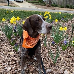 Meet your Posher, Mary